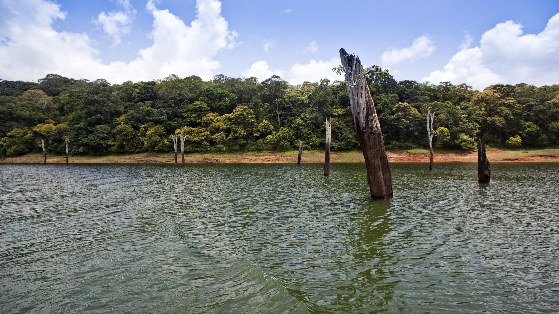 thekkady