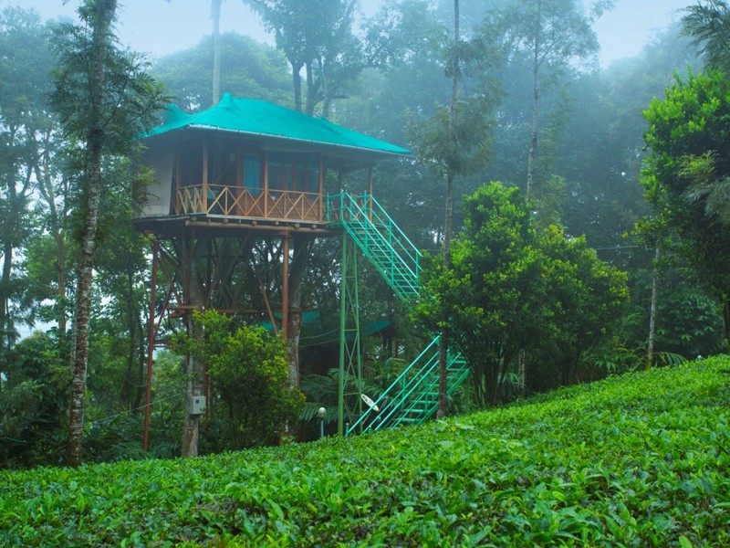 dream-catcher-plantation-resort