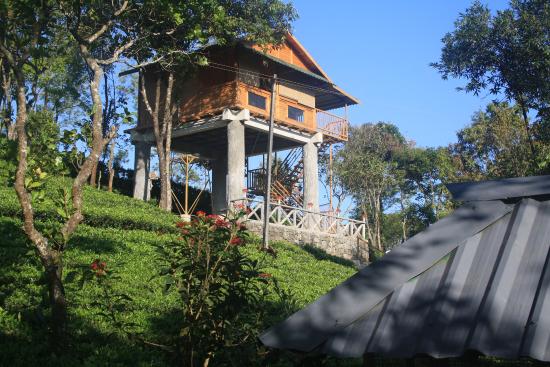 vagamon-treehouse
